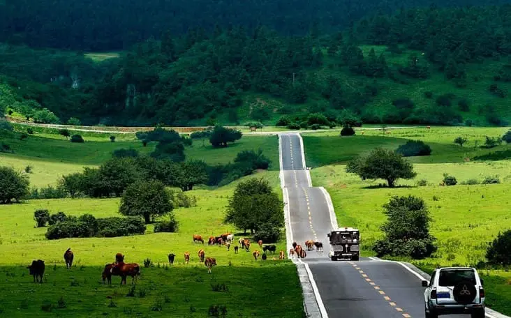 仙女山森林公園