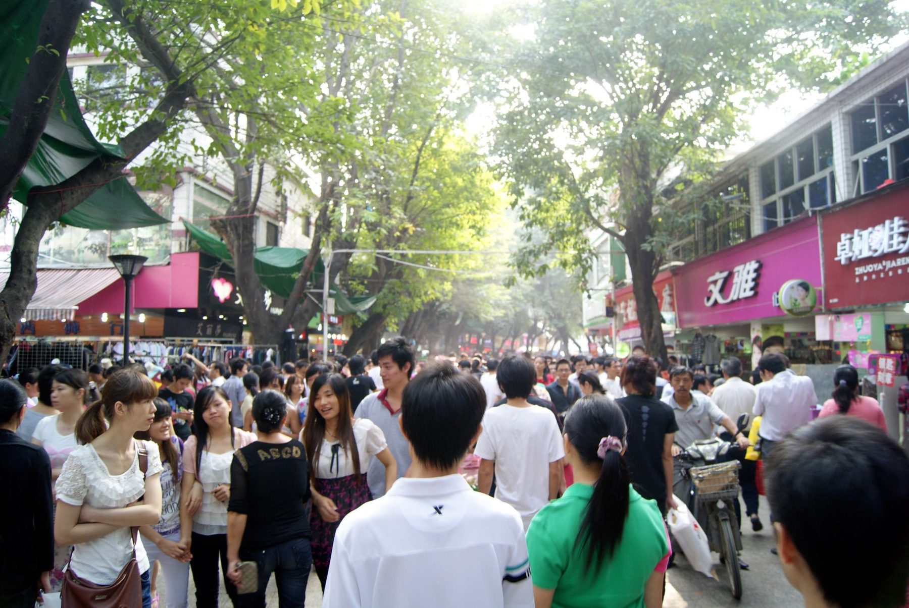 長輩在旅展,說明會買了很便宜的「大陸購物團」怎麼辦？退費、自保重點