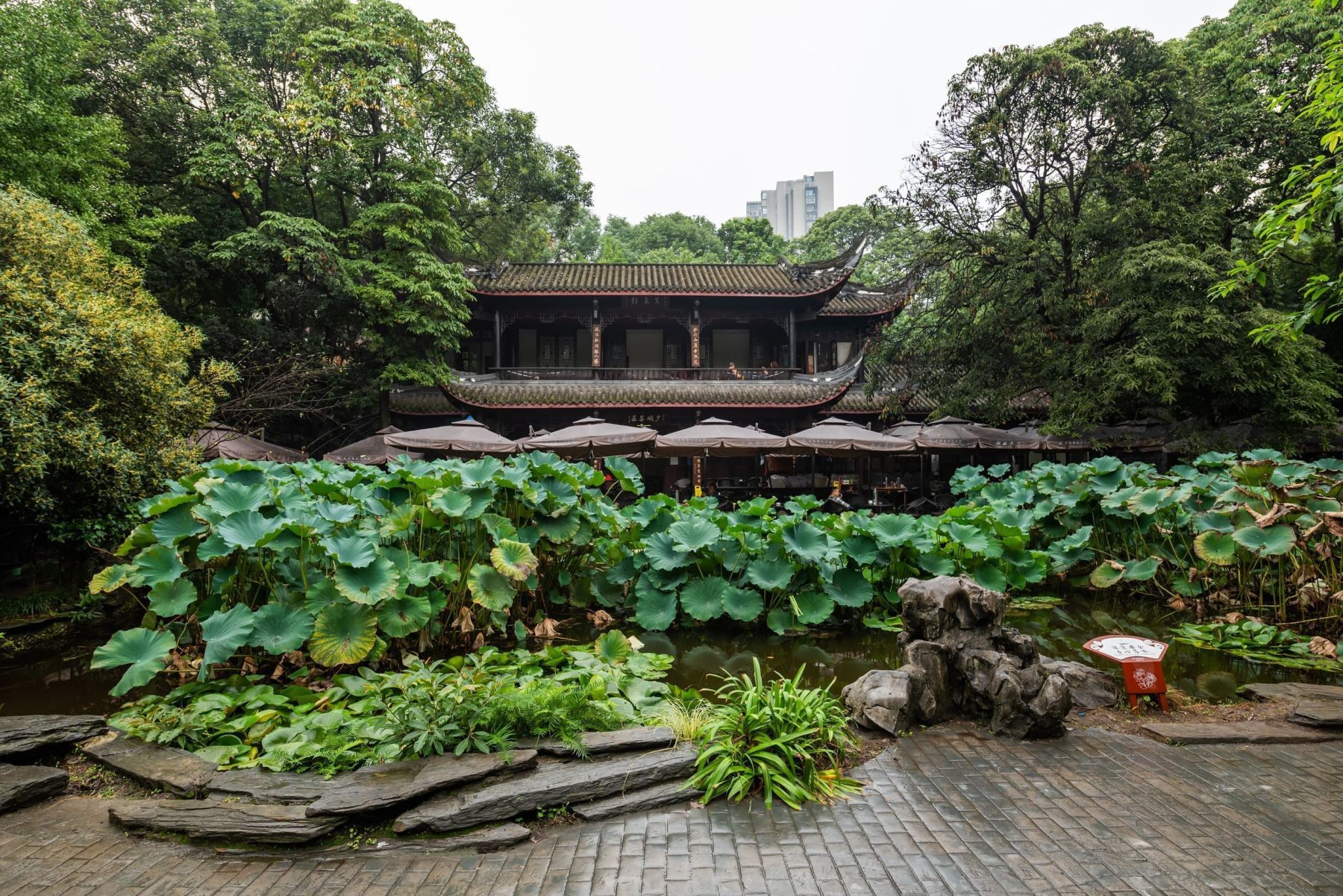 人民公園＋鶴鳴茶社
