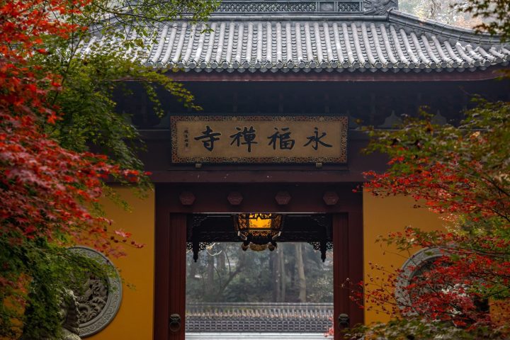 杭州永福寺介紹|隱身飛來峰後方的西湖靜謐古寺與茶園禪境