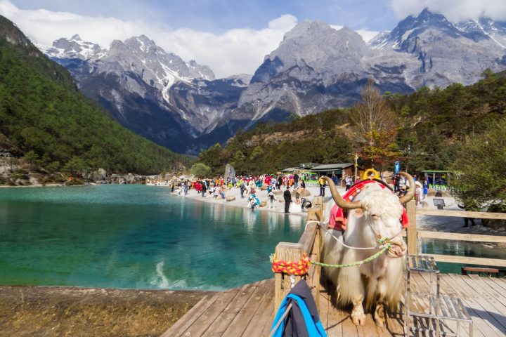 雲南旅遊會高原反應嗎？昆明、大理、麗江、玉龍雪山、香格里拉高反風險與預防攻略
