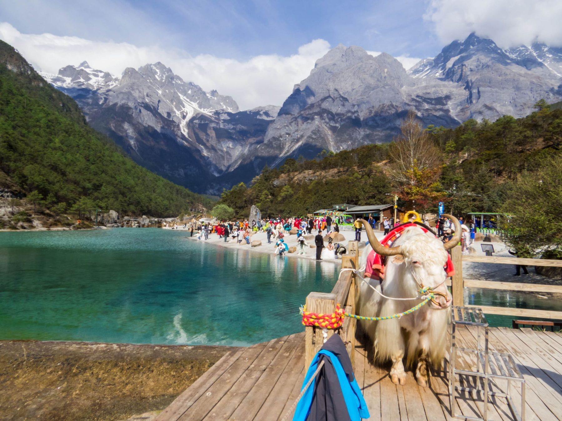 雲南旅遊會高原反應嗎？昆明、大理、麗江、玉龍雪山、香格里拉高反風險與預防攻略