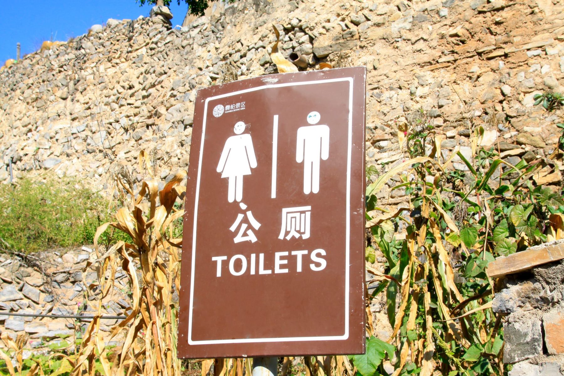 去大陸旅遊廁所好找嗎？公廁乾淨度、習慣差異、找廁所方法完整指南