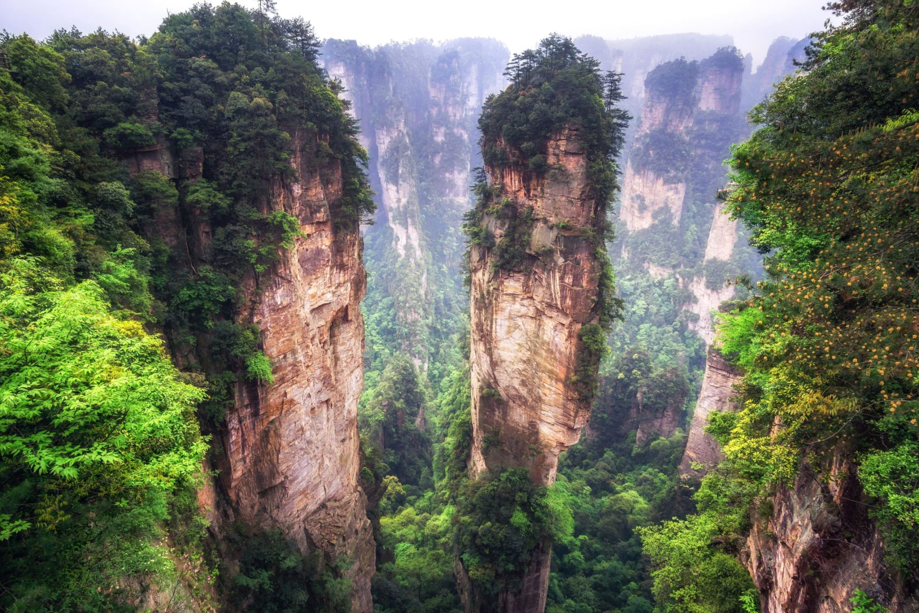 袁家界景區（天下第一橋・迷魂台）