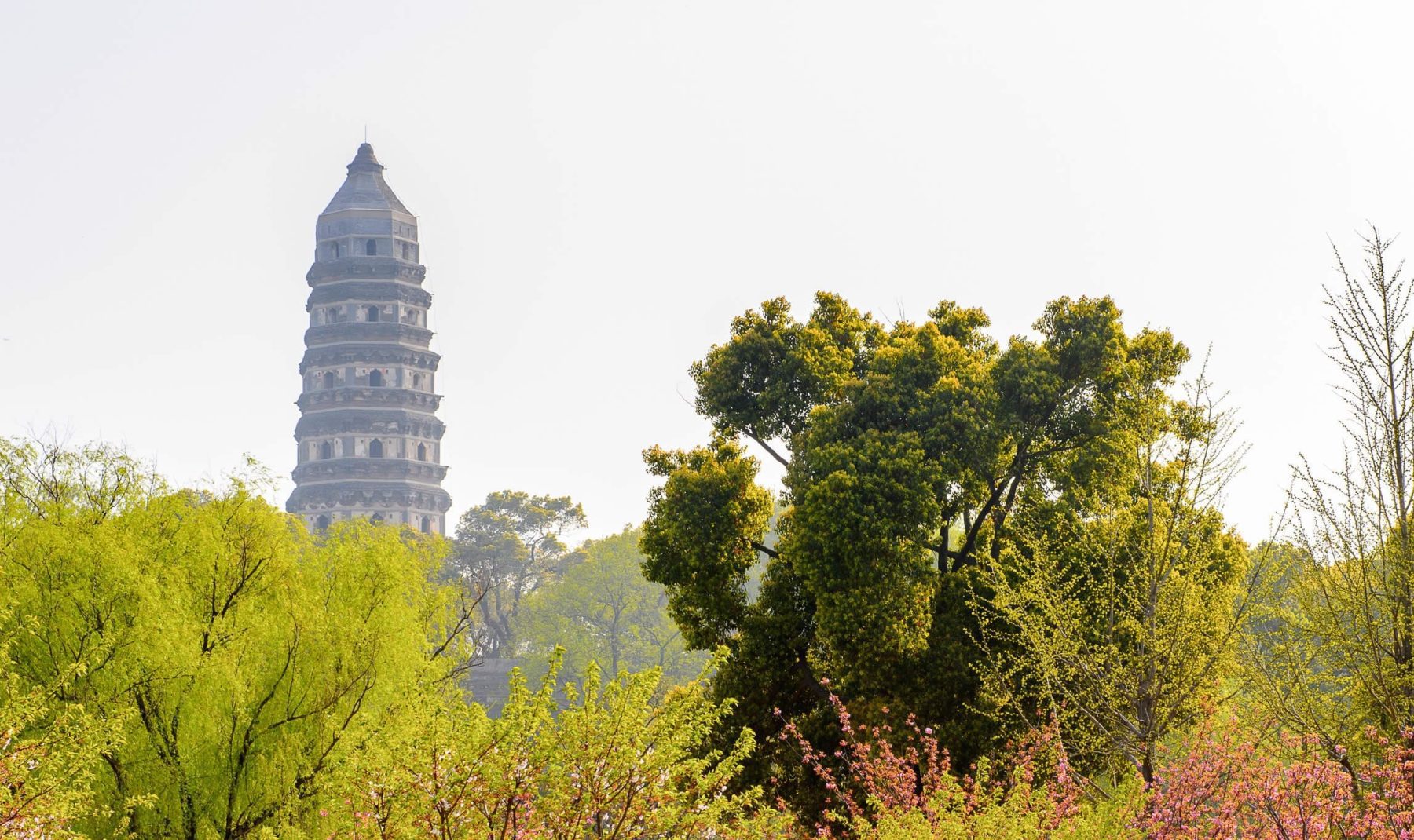 虎丘