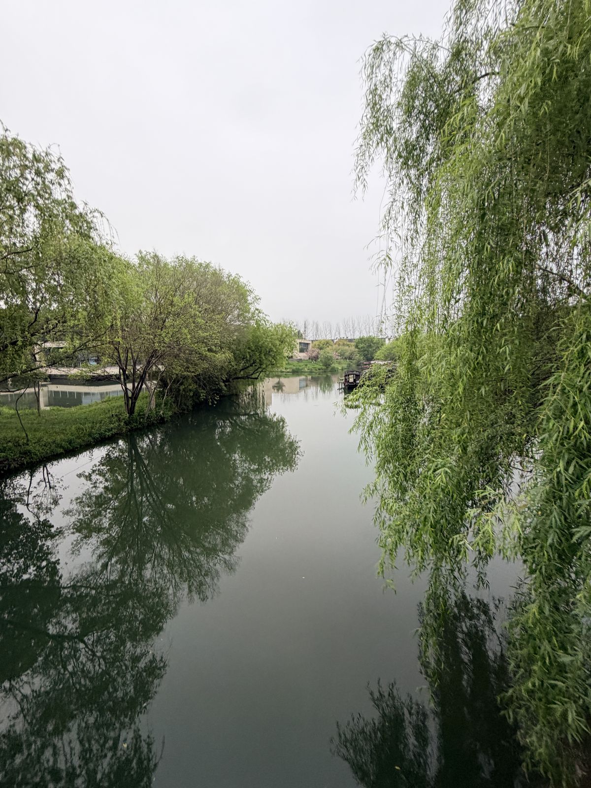 烏鎮西柵河道垂柳與停靠烏篷船
