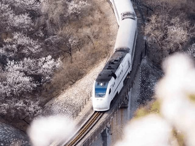 北京春季長城賞櫻一日遊｜玉淵潭＋中央電視塔＋居庸關長城