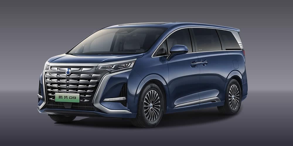 騰勢 D9 豪華商務車包車