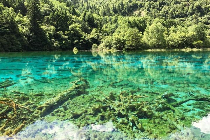 成都九寨溝峨眉樂山重慶 10 天 9 夜｜黃龍、金頂、樂山大佛與洪崖洞
