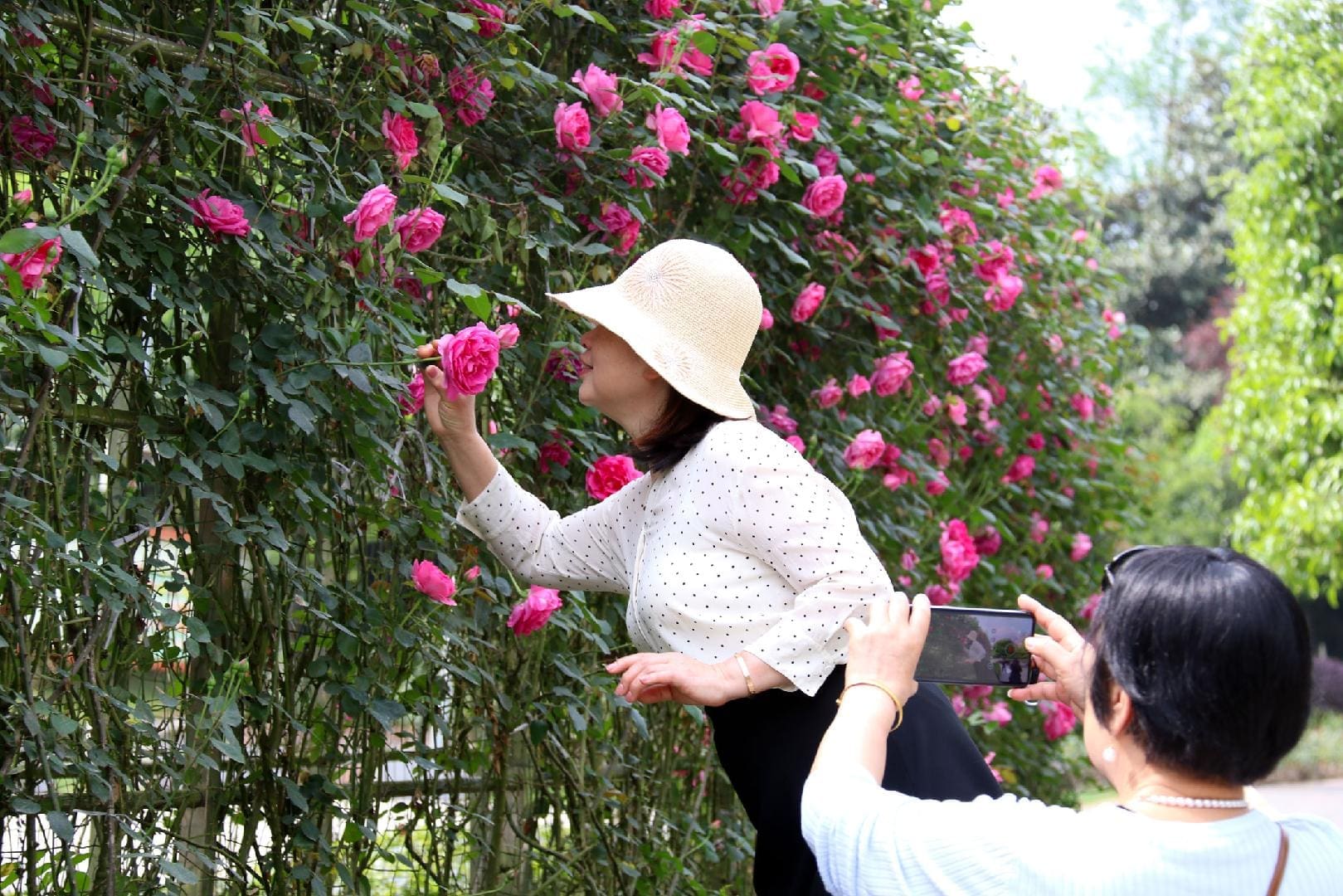 園博園花季賞花