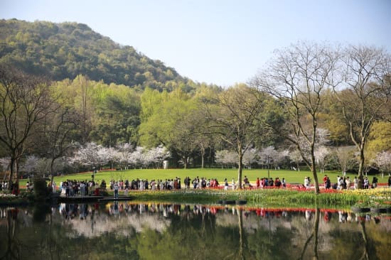 太子灣公園
