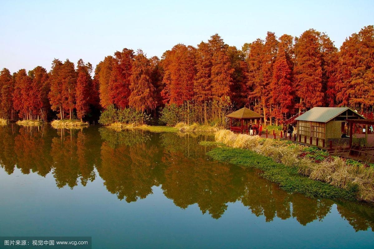 李中水上森林公園