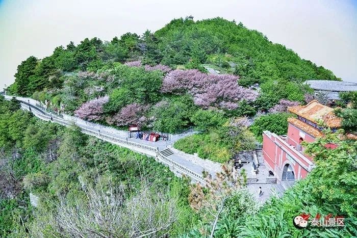 泰山風景名勝區
