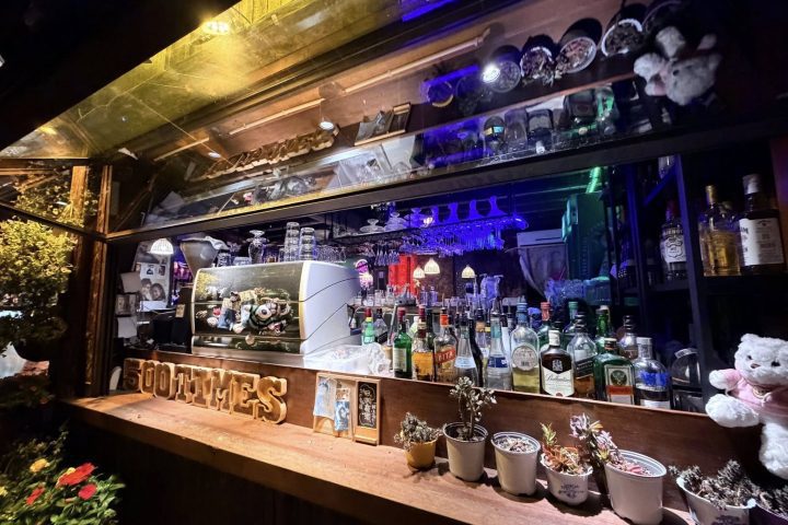 烏鎮酒吧一條街|西柵夜生活推薦・江南水鄉夜景與清吧小酌