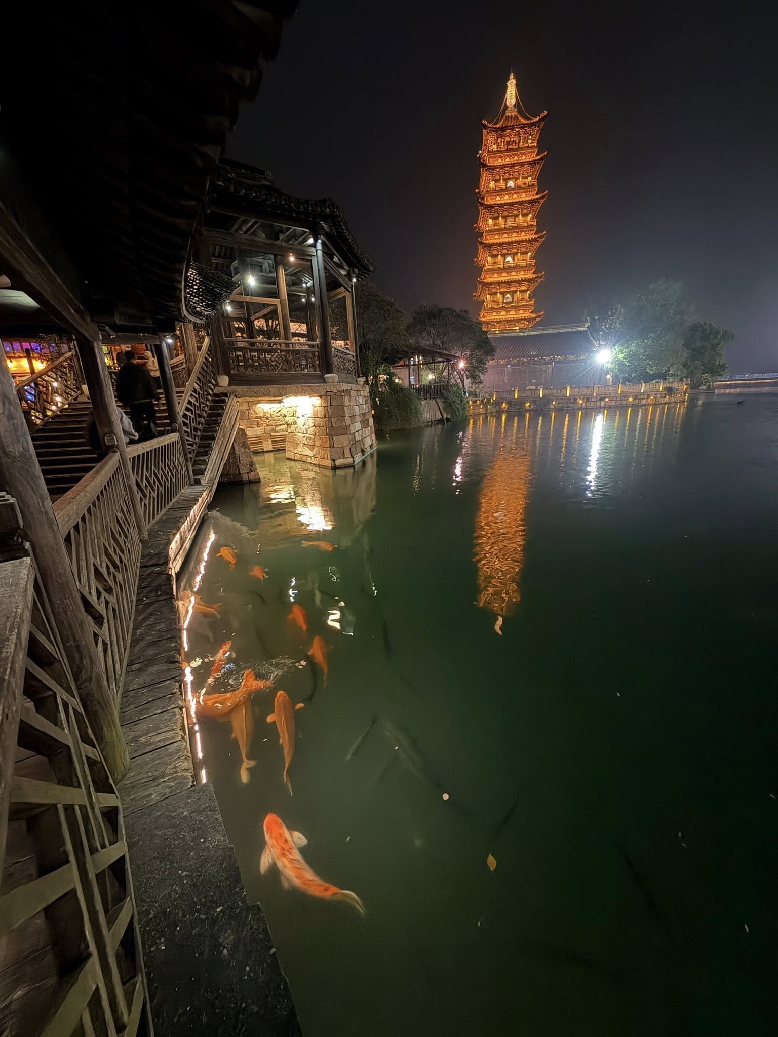 烏鎮西柵景區夜晚的臨河酒吧與燈光倒影
