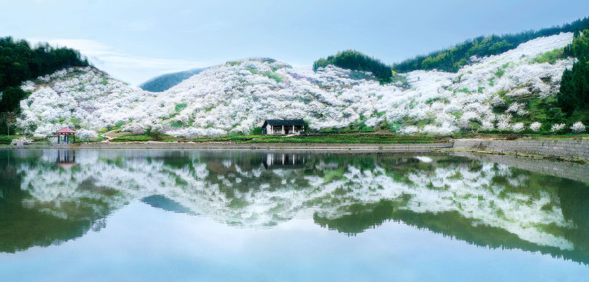 重慶春季賞花六日遊 | 金佛山花海・統景李花・鴻恩寺櫻花