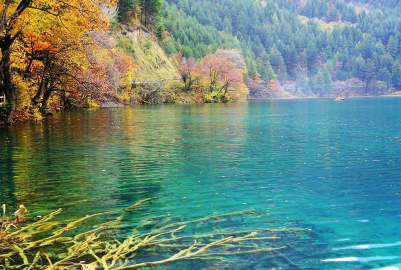 九寨溝觀光車體驗