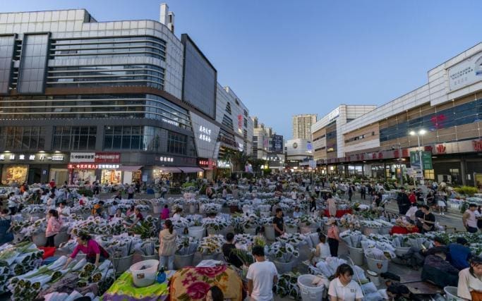 鬥南花市