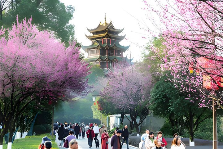 重慶春季賞花人文一日遊｜鴻恩寺＋觀音橋＋磁器口＋李子壩＋人民大禮堂