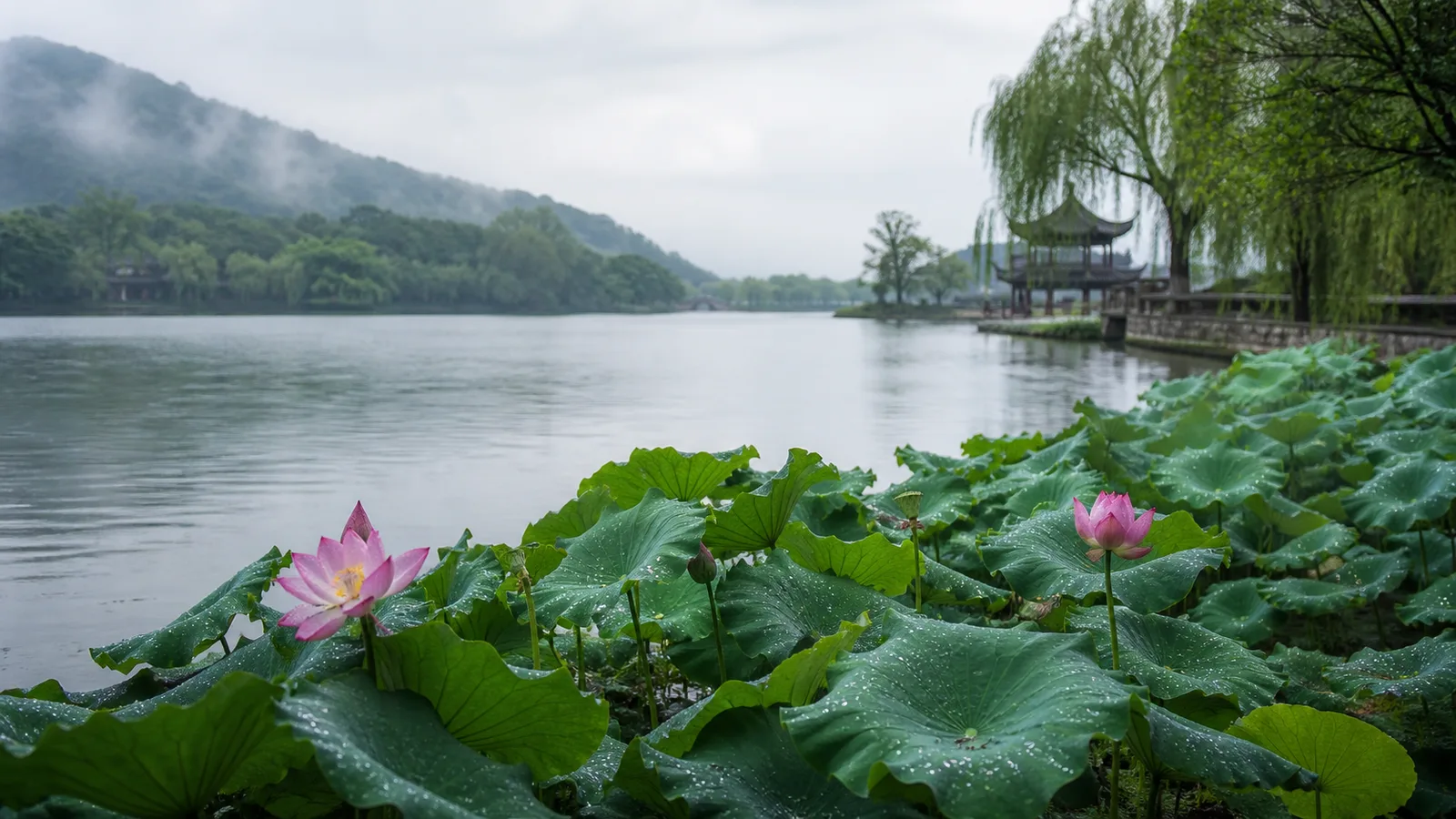 雨後湖畔荷花與遠山亭台情境示意