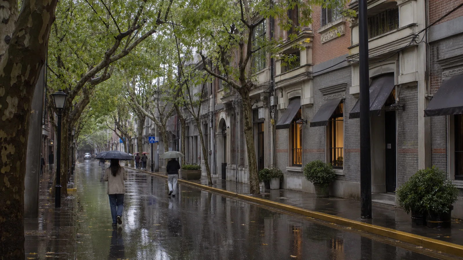 雨天林蔭街道的雨傘行人與濕潤路面情境示意