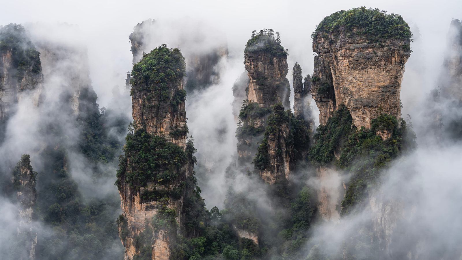 雲霧環繞的張家界石英砂岩峰柱