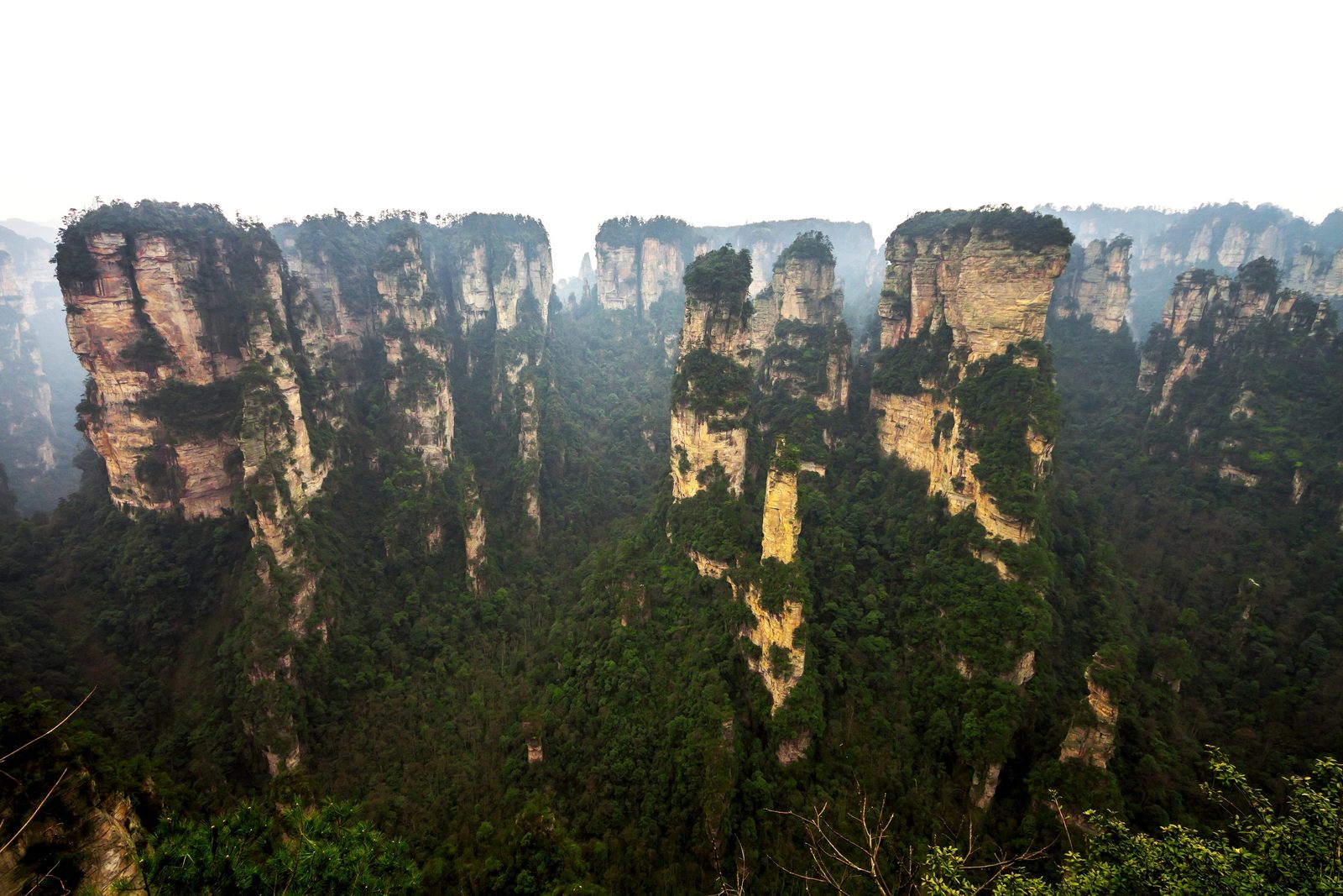 張家界峰牆與峰柱交錯的森林景觀