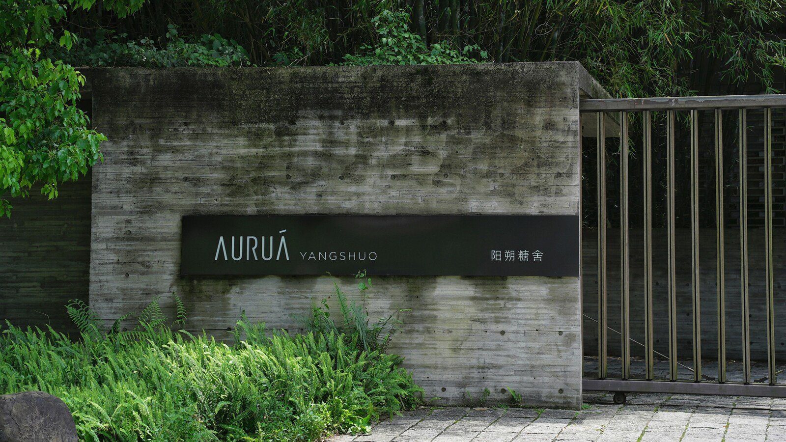 陽朔糖舍 Aurua 酒店的入口,清水模牆上掛著黑底的 AURUA YANGSHUO 招牌,右側是金屬柵門,牆腳種滿蕨類