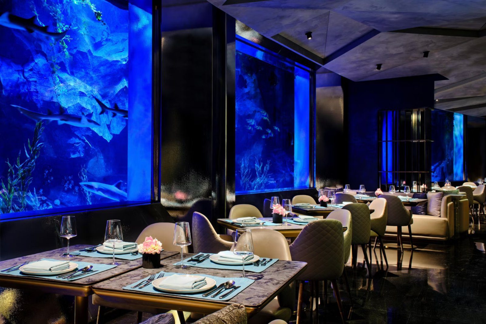 上海佘山世茂洲際酒店水下餐廳的用餐區，整面藍色水族展示缸裡有鯊魚游過