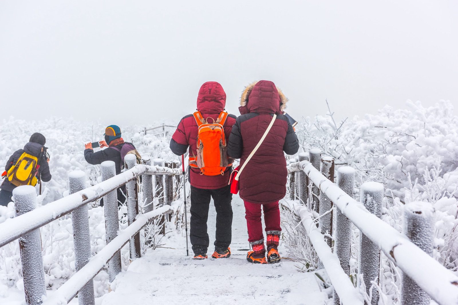 遊客穿厚羽絨外套、雪靴加冰爪走在結霜步道上